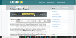 Ekran Alıntısıvaran2.PNG