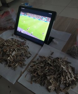IMG_20220818_230040.jpg