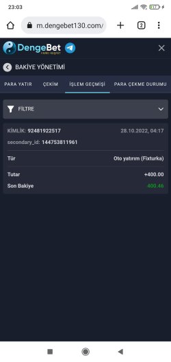 Screenshot_2022-10-28-23-03-26-087_com.android.chrome.jpg