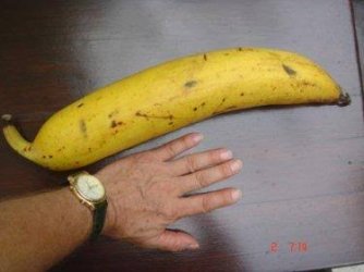 images (1).jpeg