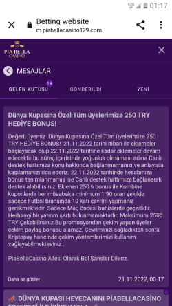 Screenshot_20221121-011756.png