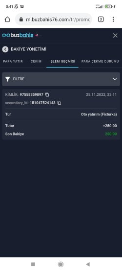 Screenshot_2022-11-26-00-41-18-380_com.android.chrome.jpg