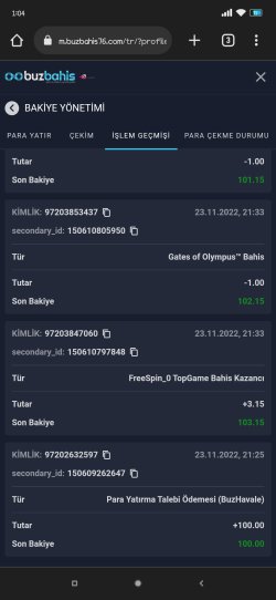 Screenshot_2022-11-26-01-04-09-501_com.android.chrome.jpg