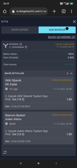 Screenshot_2022-12-11-20-19-43-352_com.android.chrome.jpg