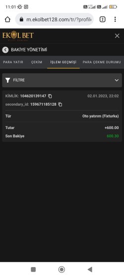 Screenshot_2023-01-03-11-01-52-214_com.android.chrome.jpg