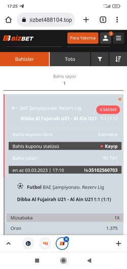 Screenshot_2023-03-03-17-25-07-135_com.android.chrome.jpg