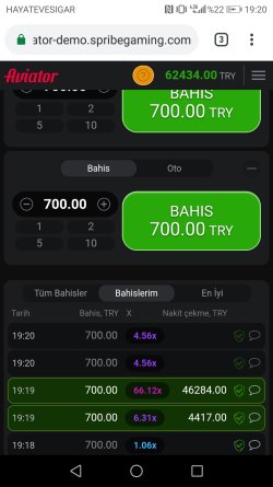 Screenshot_20230317-192018.jpg
