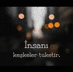 images (77).jpeg
