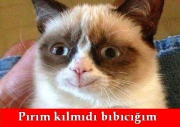 images (23).jpeg