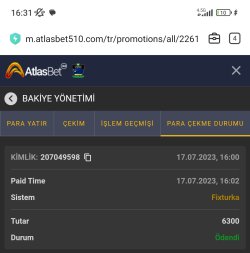 Screenshot_2023-07-18-16-31-35-624_com.mi.globalbrowser-edit.jpg