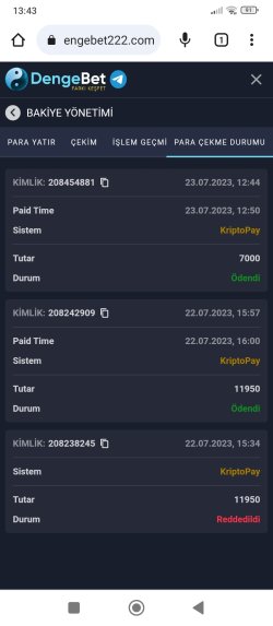 Screenshot_2023-07-23-13-43-01-740_com.android.chrome.jpg
