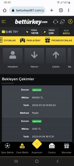 Screenshot_20230724_004238_Chrome.jpg
