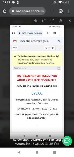 Screenshot_20230805-172355.png