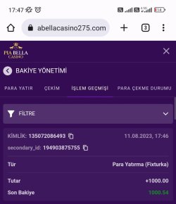 Screenshot_2023-08-11-17-47-10-469_com.android.chrome-edit.jpg