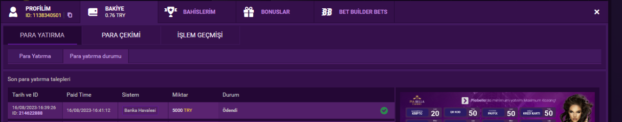 Ekran Alıntısı2.PNG