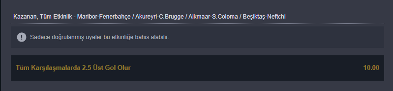 Ekran görüntüsü 2023-08-17 161242.png