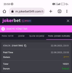 Screenshot_2023-08-22-23-53-37-907_com.android.chrome-edit.jpg