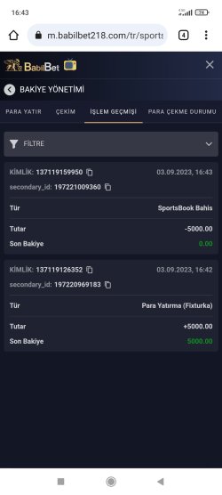 Screenshot_2023-09-03-16-43-41-571_com.android.chrome.jpg