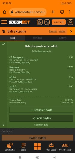 Screenshot_2023-09-16-20-33-27-968_com.android.chrome.jpg
