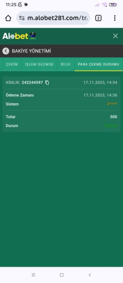 Screenshot_2023-11-18-11-25-25-540_com.android.chrome.jpg
