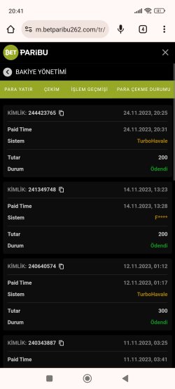 Screenshot_2023-11-24-20-41-02-599_com.android.chrome.jpg