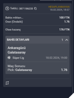 Ekran Görüntüsü (5).png