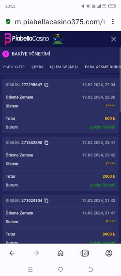Screenshot_20240219-235236.jpg