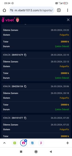 Screenshot_2024-03-28-23-24-14-130_com.android.chrome.jpg