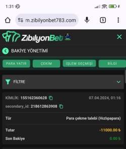 Screenshot_2024-04-07-01-31-56-923_com.android.chrome-edit.jpg