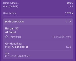 Screenshot_2024-04-18-19-54-03-721_com.android.chrome-edit.jpg