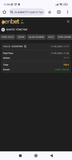 Screenshot_2024-06-17-11-44-54-785_com.android.chrome.jpg