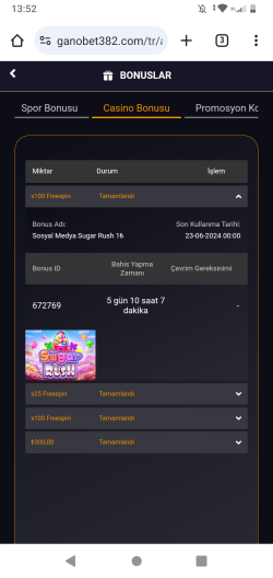 Screenshot_20240617-135237.png