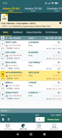 Screenshot_2024-06-29-02-12-02-696_com.atyarisi.jpg
