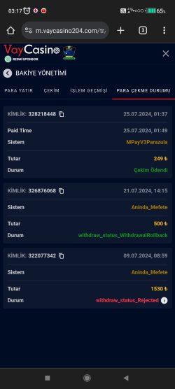 Screenshot_2024-07-25-03-17-17-735_com.android.chrome.jpg