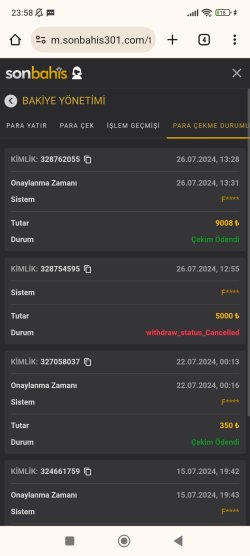 Screenshot_2024-07-26-23-58-07-969_com.android.chrome.jpg