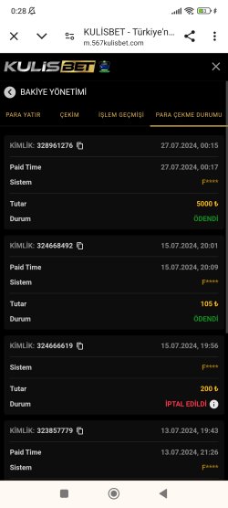 Screenshot_2024-07-27-00-28-23-157_com.android.chrome.jpg
