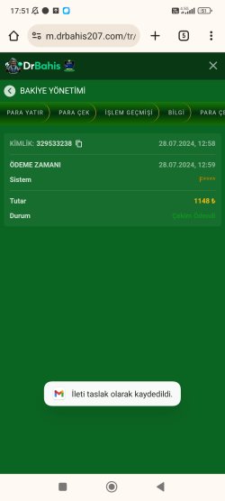 Screenshot_2024-07-28-17-51-14-122_com.android.chrome.jpg