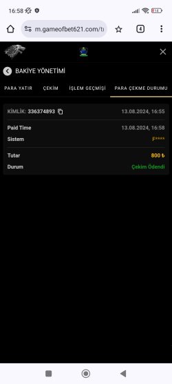 Screenshot_2024-08-13-16-58-42-558_com.android.chrome.jpg