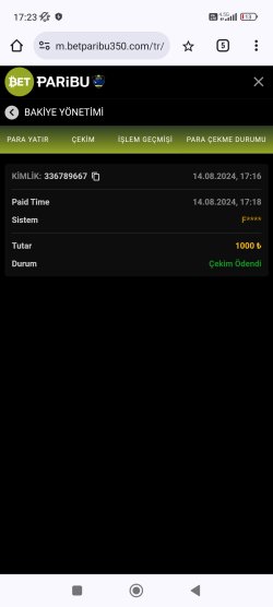 Screenshot_2024-08-14-17-23-21-498_com.android.chrome.jpg
