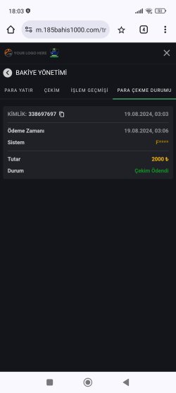 Screenshot_2024-08-19-18-03-35-354_com.android.chrome.jpg