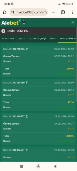 Screenshot_2024-09-06-20-46-33-255_com.android.chrome.jpg