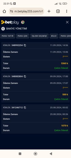 Screenshot_2024-09-11-22-31-17-344_com.android.chrome.jpg