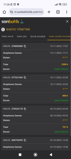 Screenshot_2024-11-13-17-28-50-447_com.android.chrome.jpg