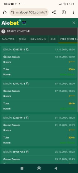 Screenshot_2024-11-13-18-52-41-615_com.android.chrome.jpg