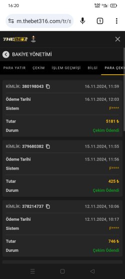 Screenshot_2024-11-16-16-20-36-11_40deb401b9ffe8e1df2f1cc5ba480b12.jpg