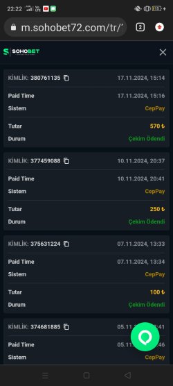 Screenshot_2024-11-17-22-22-53-12.jpg