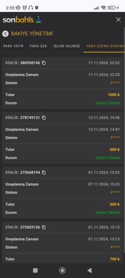 Screenshot_2024-11-18-02-55-44-214_com.android.chrome.jpg