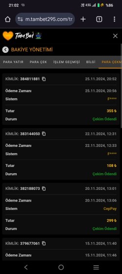 Screenshot_20241125_210258.jpg