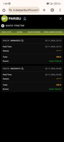 Screenshot_2024-11-26-01-03-43-396_com.android.chrome.jpg