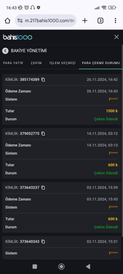 Screenshot_2024-11-26-16-43-37-113_com.android.chrome.jpg